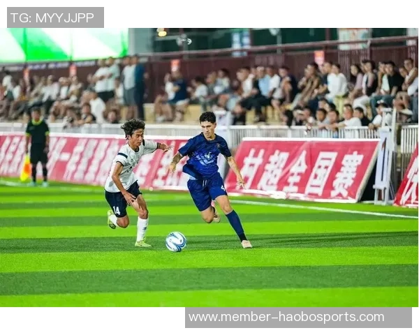 足球盛宴微观2012探秘全球赛事背后的故事与激情